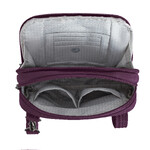 Travelon Runways Anti-Theft Double Compartment Tablet Crossbody Plum 43714 - ORDER NOW FOR DELIVERY IN MAY 2026 - 4