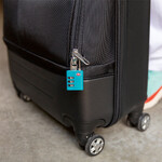 Travelon Travel Accessories Set of 2 TSA Accepted Luggage Locks Cool Combo 13693 - ORDER NOW FOR DELIVERY IN MARCH 2027 - 1