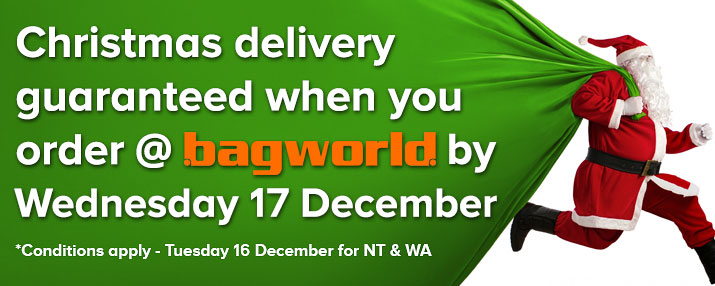 Christmas Delivery @ Bagworld